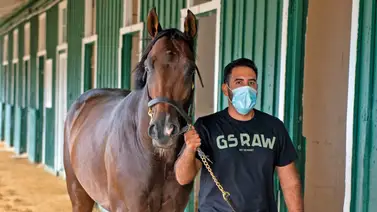 Le nace el primer producto a semental que representó colores venezolanos en Estados Unidos Le nace el primer producto a semental que representó colores venezolanos en Estados Unidos