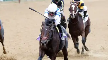 Nueva York tendrá su eliminatoria para el Kentucky Derby Nueva York tendrá su eliminatoria para el Kentucky Derby