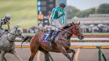 Se calienta la Dubai World Cup con las estrellas equinas del mundo Se calienta la Dubai World Cup con las estrellas equinas del mundo