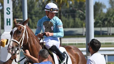 José Francisco D’Angelo lidera está estadística del Championship Meet
