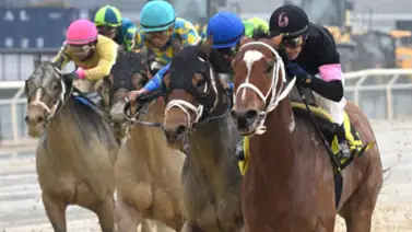 Mychel Sánchez estará en Nueva York por los $175.000 Mychel Sánchez estará en Nueva York por los $175.000