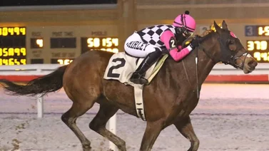 Yoqueta peruana sorprende con batacazo en su primera monta en Parx Racing
