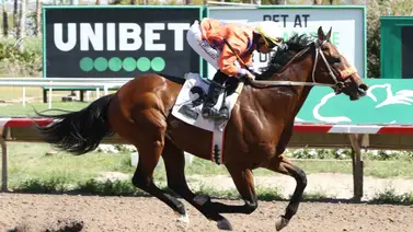 Jinete venezolano Karlo López arribó a las 900 victorias Jinete venezolano Karlo López arribó a las 900 victorias