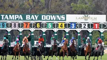 Hoy continúa la batalla en Tampa Bay Downs entre Samuel Marín y Samy Camacho Hoy continúa la batalla en Tampa Bay Downs entre Samuel Marín y Samy Camacho
