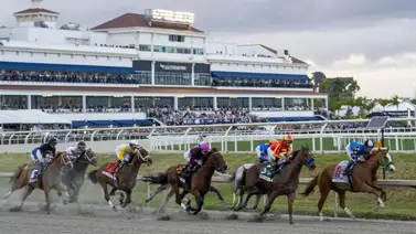 Potro que costó más de un millón de dólares entrenado por un venezolano es gran favorito en un grado 3 Potro que costó más de un millón de dólares entrenado por un venezolano es gran favorito en un grado 3
