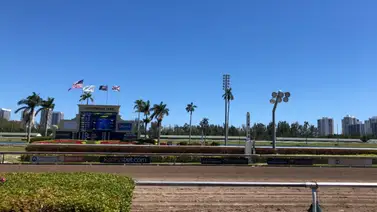Vamos por más con el Best Best y los Picks para la jornada en Gulfstream Park 31-01-2025 Vamos por más con el Best Best y los Picks para la jornada en Gulfstream Park 31-01-2025