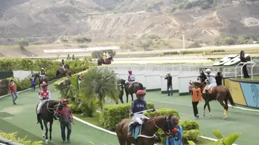 Favoritos de la cátedra para el 5y6 Nacional de la reunión N°3 en el hipódromo La Rinconada Favoritos de la cátedra para el 5y6 Nacional de la reunión N°3 en el hipódromo La Rinconada