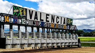 Datos de última hora para el Hipódromo Nacional de Valencia 1-2-2025