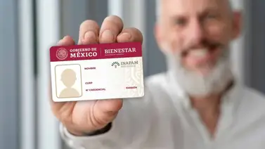 Tarjeta INAPAM Tarjeta INAPAM