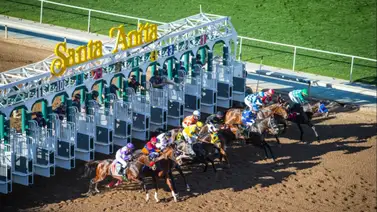 Aquí están los datos de última hora para Santa Anita Park incluyendo el Best Best y los Picks para la jornada 31-01-2025 Aquí están los datos de última hora para Santa Anita Park incluyendo el Best Best y los Picks para la jornada 31-01-2025