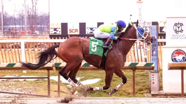 José Gregorio Torrealba se acerca a las 200 victorias en los Estados Unidos José Gregorio Torrealba se acerca a las 200 victorias en los Estados Unidos