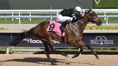 Entrenador venezolano está muy cerca de las 200 victorias en Estados Unidos Entrenador venezolano está muy cerca de las 200 victorias en Estados Unidos