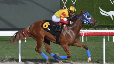 Back to Back para entrenadores criollos en el hipódromo de Gulfstream Park Back to Back para entrenadores criollos en el hipódromo de Gulfstream Park