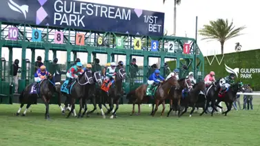 Estabilidad confirmada: FHBPA y Gulfstream Park firman acuerdo de tres años con reducción de fechas Estabilidad confirmada: FHBPA y Gulfstream Park firman acuerdo de tres años con reducción de fechas