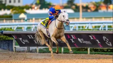 Regreso de estrellas: White Abarrio encabeza la lista de invitados a la Pegasus World Cup por $3 millones Regreso de estrellas: White Abarrio encabeza la lista de invitados a la Pegasus World Cup por $3 millones