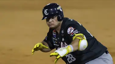 Se espera un Round Robin repleto de cuadrangulares en la LVBP Se espera un Round Robin repleto de cuadrangulares en la LVBP