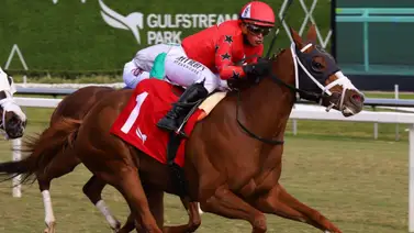 Javier Castellano se acerca a las 6.000 victorias tras brillante fin de semana Javier Castellano se acerca a las 6.000 victorias tras brillante fin de semana