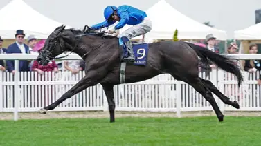 La trayectoria impecable de Rebel's Romance lo confirma como digno candidato al Eclipse Award La trayectoria impecable de Rebel's Romance lo confirma como digno candidato al Eclipse Award