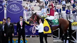 ¡Histórico! Forever Young consolida su dominio global con el máximo galardón de Japón