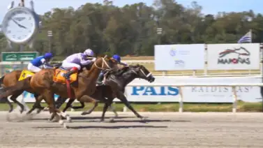 Breeders’ Cup: Herr Kitten (Brz) en gran demostración se lleva el Gran Premio Pedro Piñeyrua (G3) y gana cupo directo para la BC Dirt Mile Breeders’ Cup: Herr Kitten (Brz) en gran demostración se lleva el Gran Premio Pedro Piñeyrua (G3) y gana cupo directo para la BC Dirt Mile