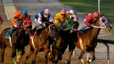 Estos fueron los momentos más destacados de la temporada 2025 en el hipismo estadounidense Estos fueron los momentos más destacados de la temporada 2025 en el hipismo estadounidense