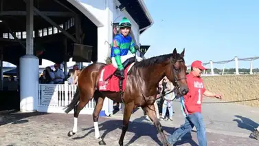Mychel Sánchez alcanza la cima como el jinete venezolano más ganador en la escena estadounidense Mychel Sánchez alcanza la cima como el jinete venezolano más ganador en la escena estadounidense