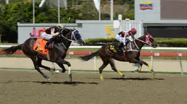 La alegría más grande: Jinete profesional de La Rinconada se convierte en padre por primera vez