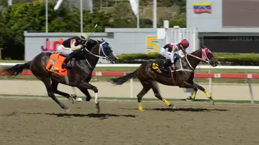 La alegría más grande: Jinete profesional de La Rinconada se convierte en padre por primera vez La alegría más grande: Jinete profesional de La Rinconada se convierte en padre por primera vez