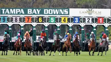 ¡Arrasaron los venezolanos! Ganaron ocho carreras programadas en Tampa Bay Downs ¡Arrasaron los venezolanos! Ganaron ocho carreras programadas en Tampa Bay Downs