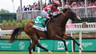 La agenda de Mark Casse para 2026: Vuelven tres estrellas de grado La agenda de Mark Casse para 2026: Vuelven tres estrellas de grado