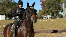 La promesa de $1.3 millones: Hijo de Uncle Mo y Cacciatora afina detalles para su debut