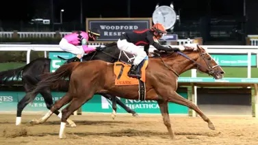 ¡Rattle N Roll vuelve a Arabia Saudita! Confirmada su participación en la Saudi Cup de $20 millones ¡Rattle N Roll vuelve a Arabia Saudita! Confirmada su participación en la Saudi Cup de $20 millones