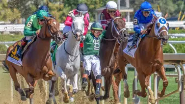 Fueron anunciados los ganadores del premio Eclipse de medios de la temporada 2025 Fueron anunciados los ganadores del premio Eclipse de medios de la temporada 2025