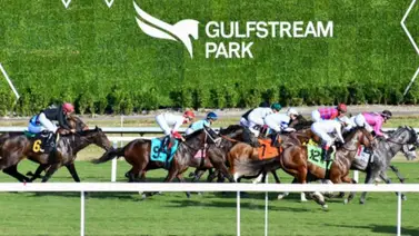 Decisión polémica en Gulfstream Park: El distanciamiento tras la meta opaca la victoria de jinete venezolano Decisión polémica en Gulfstream Park: El distanciamiento tras la meta opaca la victoria de jinete venezolano