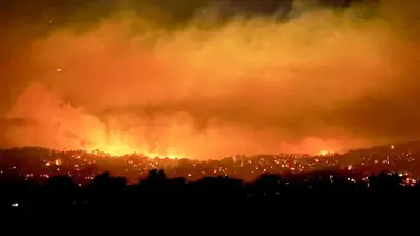 ¡Impactante! La gente puso sus vidas en peligro para sacar a los caballos ¡Impactante! La gente puso sus vidas en peligro para sacar a los caballos