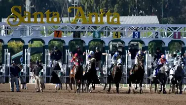 Santa Anita: Magnificat del afamado Spendthrift Farm, divisa que busca su tercera victoria consecutiva en Las Flores Stakes G3 Santa Anita: Magnificat del afamado Spendthrift Farm, divisa que busca su tercera victoria consecutiva en Las Flores Stakes G3