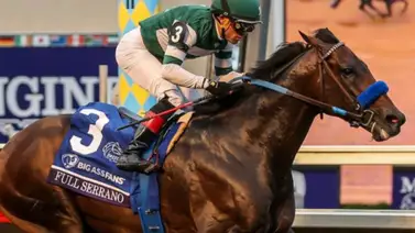 Full Serrano confirma su presencia en la Pegasus World Cup 2026 Full Serrano confirma su presencia en la Pegasus World Cup 2026