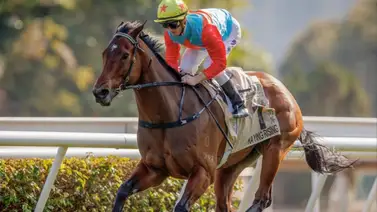 ¿Podrá igualar un récord que tiene 21 años?: Ka Ying Rising enfrentará a seis rivales Centenary Sprint Cup (Gr1) en Hong Kong ¿Podrá igualar un récord que tiene 21 años?: Ka Ying Rising enfrentará a seis rivales Centenary Sprint Cup (Gr1) en Hong Kong