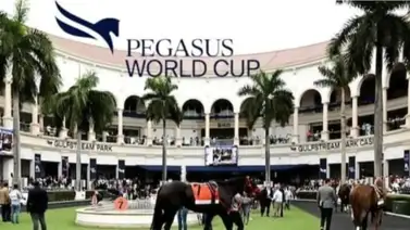Entérate de todos los detalles: La Pegasus World Cup 2026 llega a su décimo aniversario con los DJ’s más famosos de la zona Entérate de todos los detalles: La Pegasus World Cup 2026 llega a su décimo aniversario con los DJ’s más famosos de la zona