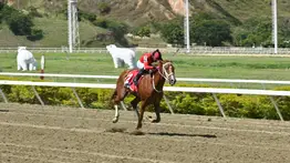 Duelo de potros en Coche: Bunker lidera la nómina y apunta al desquite selectivo