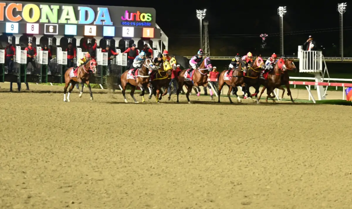 Nieta de padrillo que produjo más de 3 millones de dólares se estrena en La Rinconada