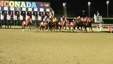 Nieta de padrillo que produjo más de 3 millones de dólares se estrena en La Rinconada Nieta de padrillo que produjo más de 3 millones de dólares se estrena en La Rinconada