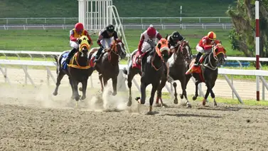 El caballo que decepcionó en su previa retorna este viernes a Coche y con monta de lujo El caballo que decepcionó en su previa retorna este viernes a Coche y con monta de lujo