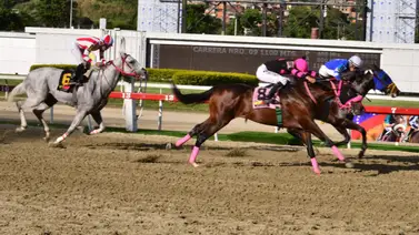 Atención en el aparato: Un salto limpio lo convierte en el máximo enemigo del lote el domingo en La Rinconada Atención en el aparato: Un salto limpio lo convierte en el máximo enemigo del lote el domingo en La Rinconada