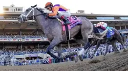 ¿Quieres retar tus conocimientos para el Kentucky Derby? Conoce a los principales favoritos