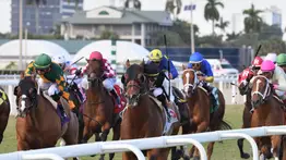 Jornada de gala: Jinetes y entrenadores venezolanos serán protagonistas en las dos pruebas de las Sunshine Stakes en Gulfstream Park 