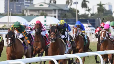 Jornada de gala: Jinetes y entrenadores venezolanos serán protagonistas en las dos pruebas de las Sunshine Stakes en Gulfstream Park Jornada de gala: Jinetes y entrenadores venezolanos serán protagonistas en las dos pruebas de las Sunshine Stakes en Gulfstream Park