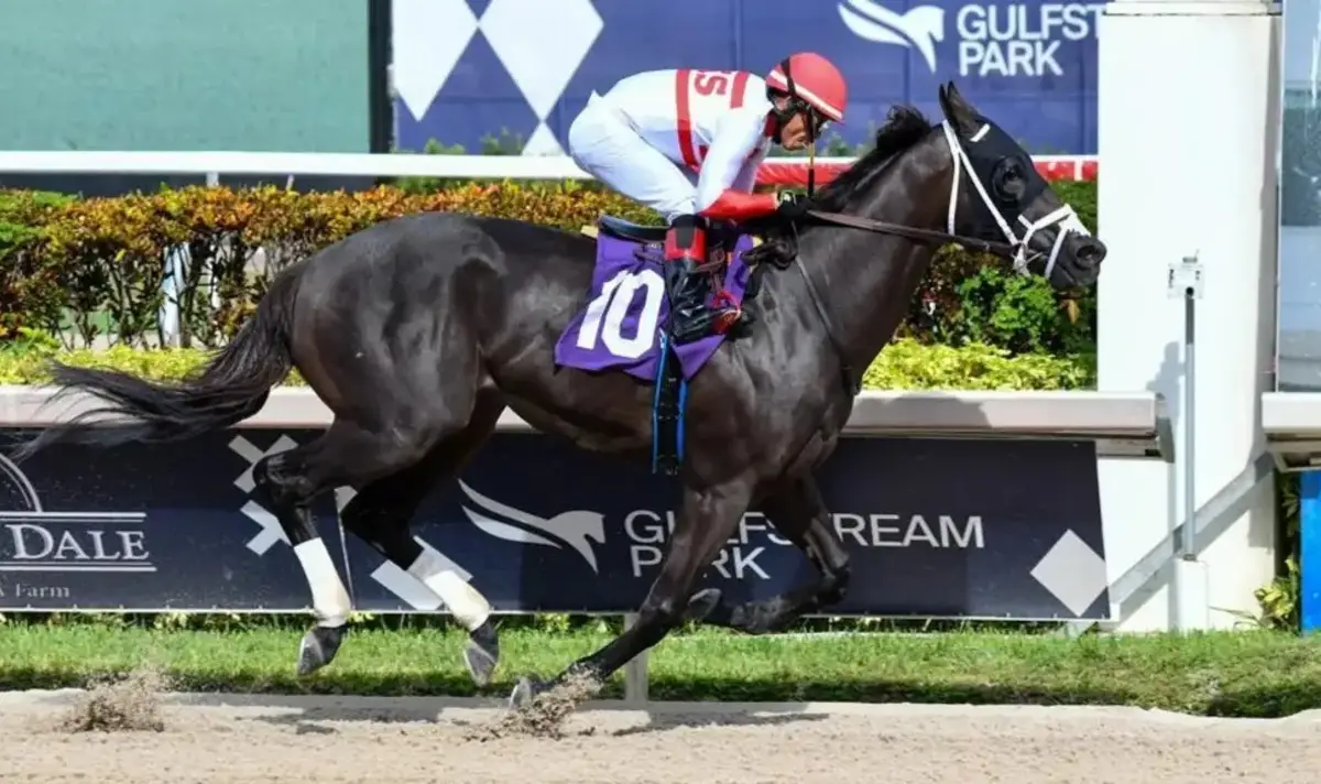 Declaraciones contundentes: Esto dijo “Kikito” D’ Angelo sobre Bentornato en su preparación para la Dubai Golden Shaheen