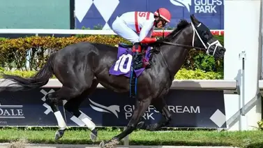 Declaraciones contundentes: Esto dijo “Kikito” D’ Angelo sobre Bentornato en su preparación para la Dubai Golden Shaheen Declaraciones contundentes: Esto dijo “Kikito” D’ Angelo sobre Bentornato en su preparación para la Dubai Golden Shaheen