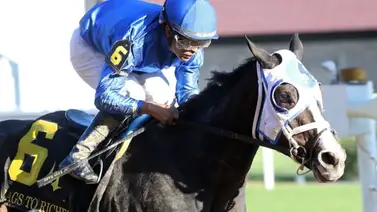 Nitrogen, Shisospicy o Good Cheer: ¿Cuál se llevará el Eclipse Award como mejor tresañera? Nitrogen, Shisospicy o Good Cheer: ¿Cuál se llevará el Eclipse Award como mejor tresañera?